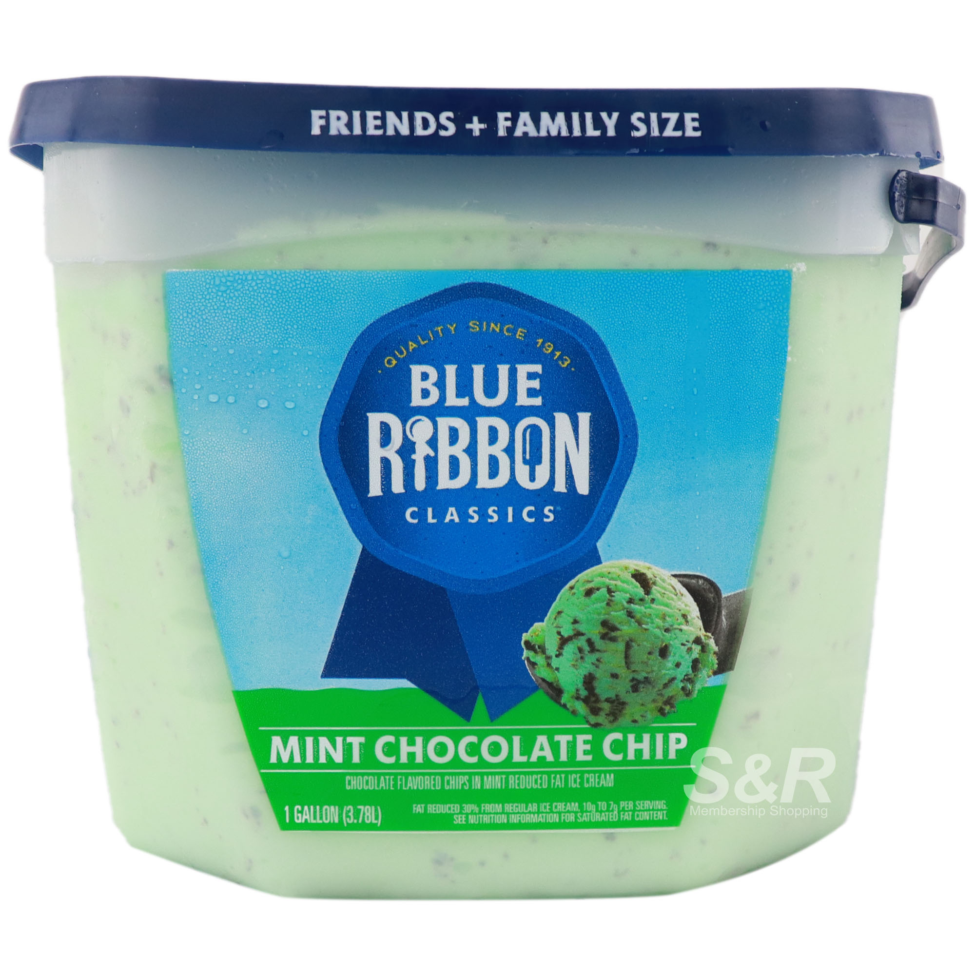 Blue Ribbon Classics Ice Cream Mint Chocolate Chip Flavor 3.78L